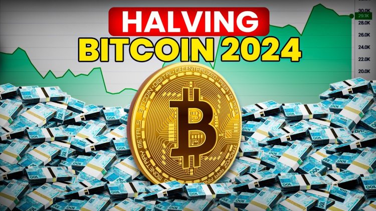 Como o Halving do Bitcoin pode afetar o mercado de criptoativos?